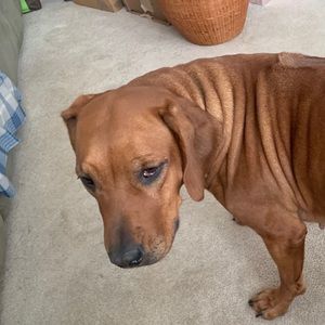 Meet your Posher, Evan